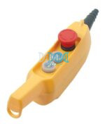 Electric Hoist Remote 220V