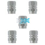 Valve Cap Set 5 Piece Blister Silver