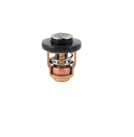 Yamaha Thermostat 4Stroke F60/70Hp