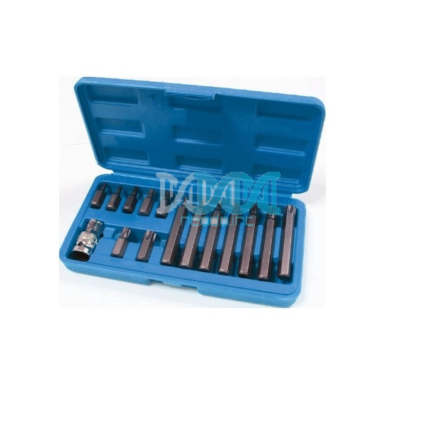 15 Piece Torx (1/2) Bits Set