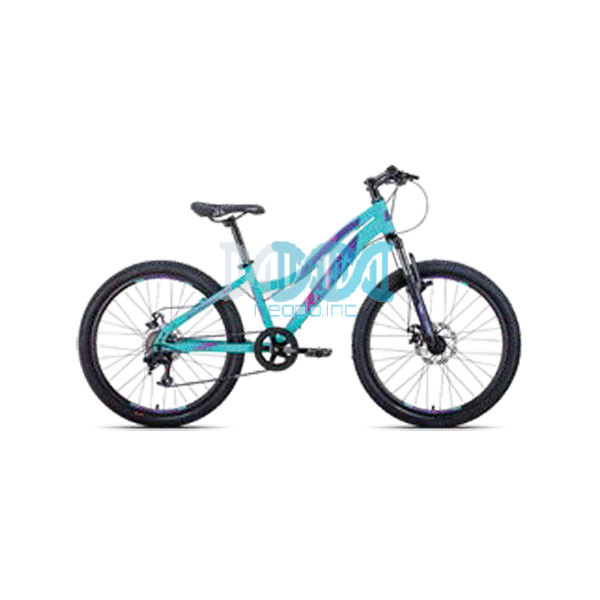 Apex 24 Inch Mountain Bicycle Red/Blue For Ladies A400-L