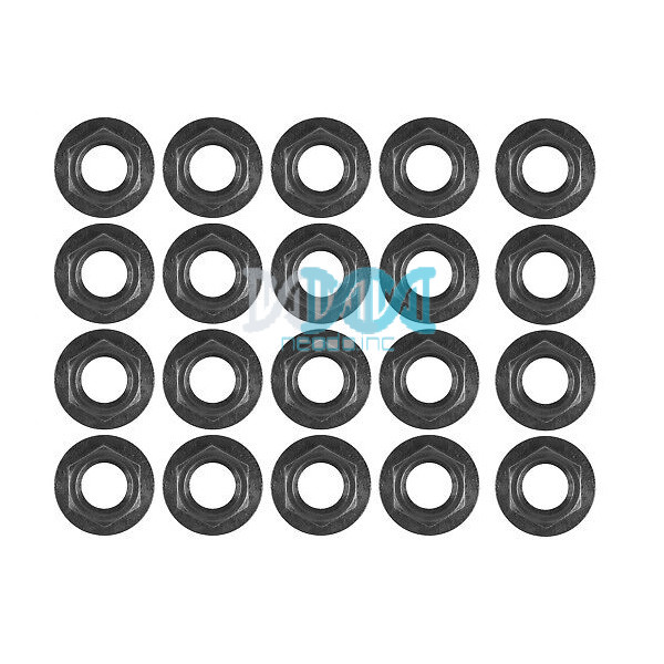Bb Alxe Nut 20Pcs In Bag