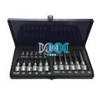 Torx Bit Set 18 Pieces 1/4 & 1/2 Drive
