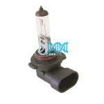 H12 55W 12V Bulb
