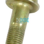 Caliper Bolt E20 & Quantum