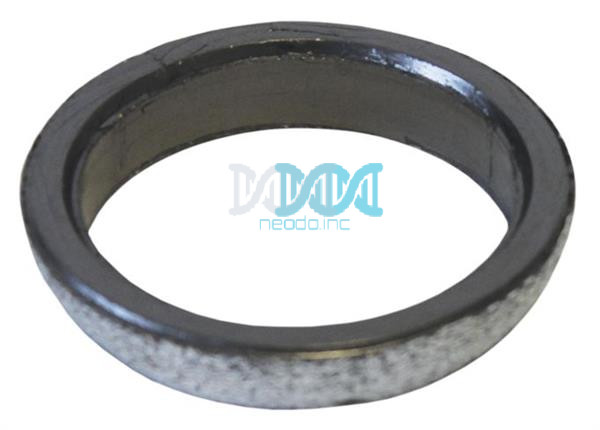 Flange Gasket Quantum