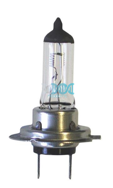 Globe H7 70W 24V