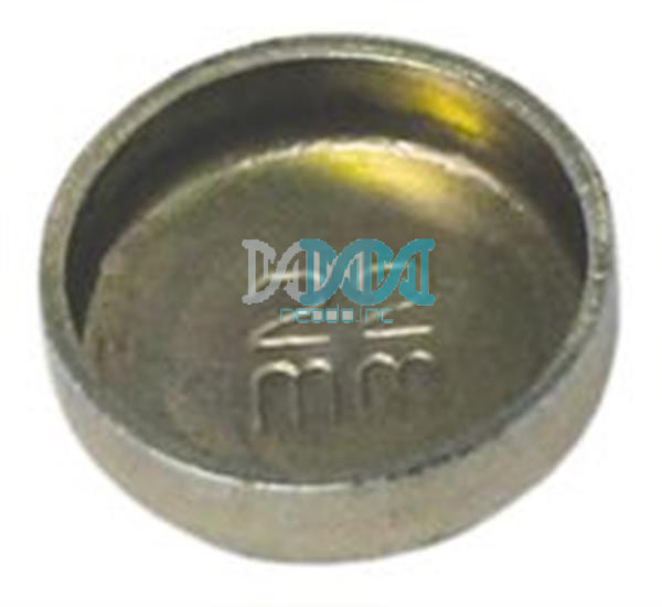 Zinc Plated Welch Plug – Size: 22mm